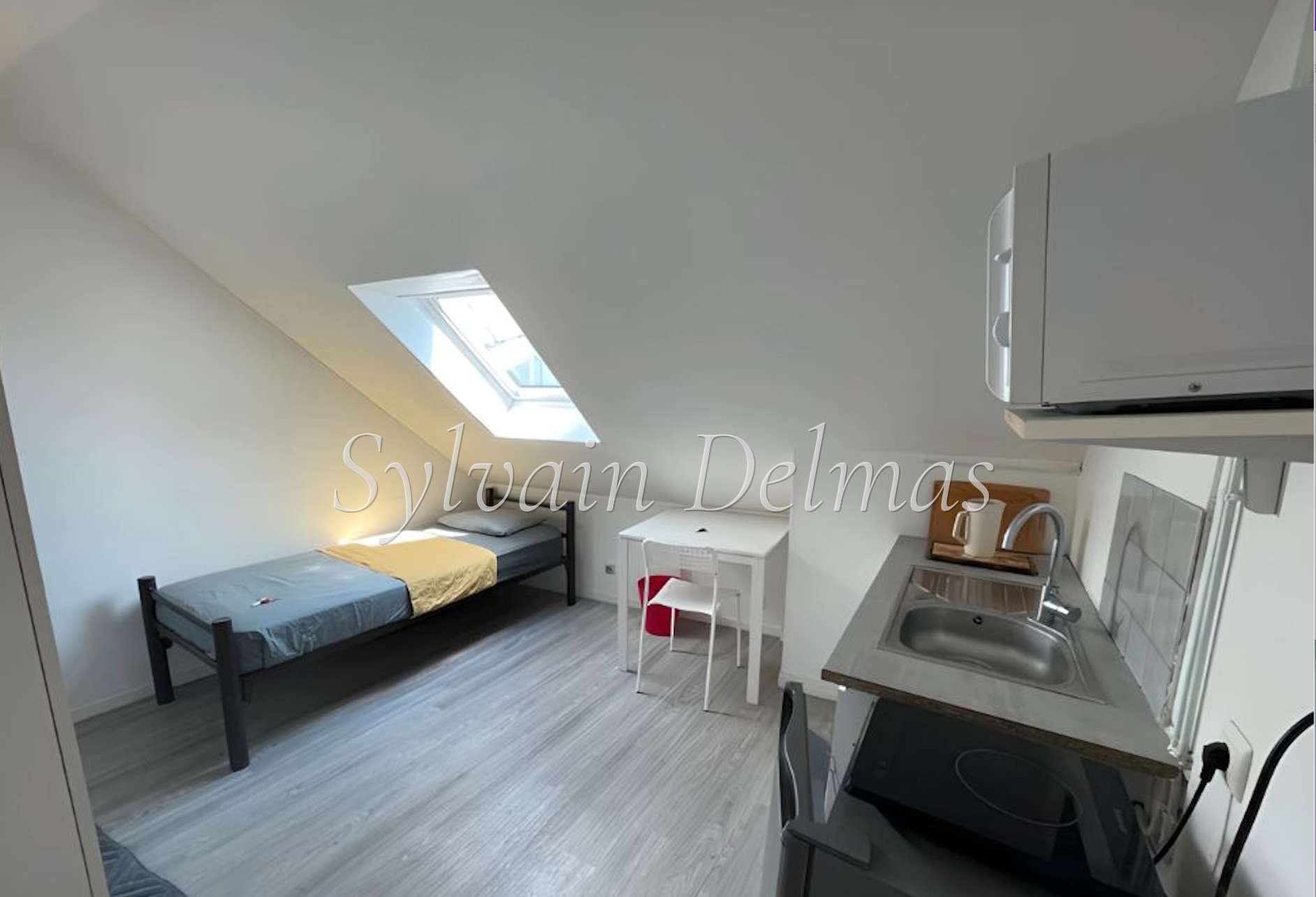 IMMEUBLE DE RAPPORT TOURS / COUTELINE