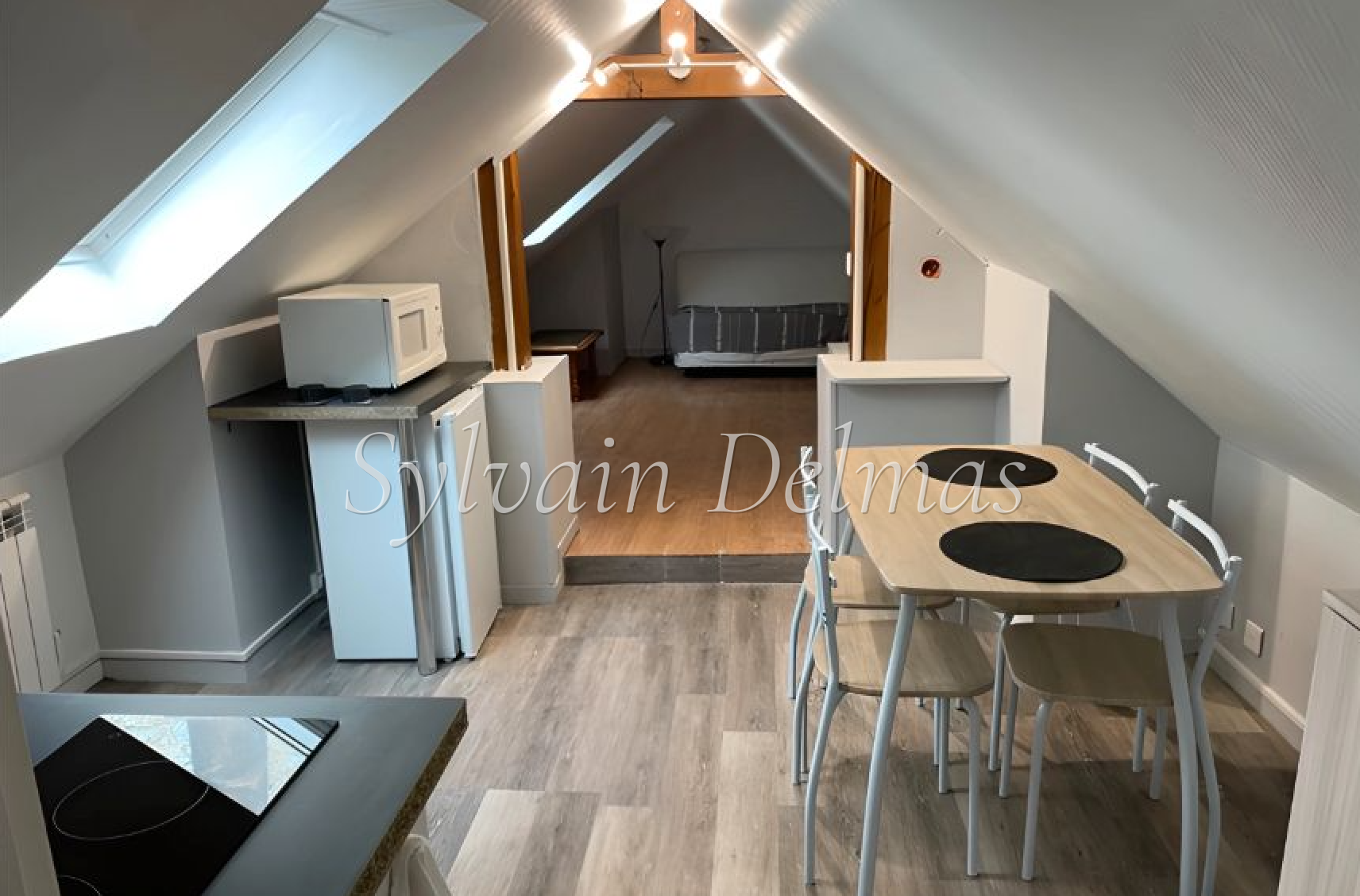IMMEUBLE DE RAPPORT TOURS / COUTELINE